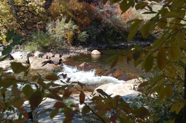 Lyons Whitewater Park River Flowing Over Rocks